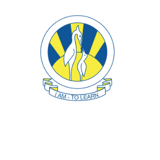 The City School